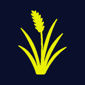 Diamantgras