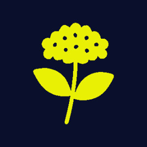 Waldrebe